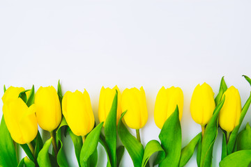 Obraz premium tulips overhead on white background. copy space