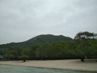 Tropical vegetation, Tien beach on the Island of Koh LARN, Thailand