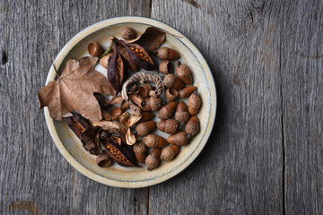 Fall Leaves Dried Flowers Seed Pods and Acorns in Plate on Wood Table