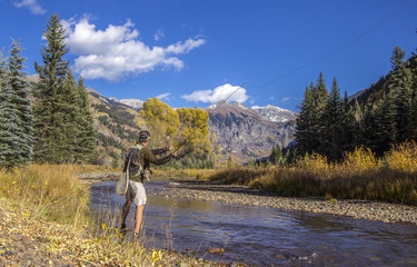 Fototapeta premium Fly Fisherman Na rzece San Miguel w pobliżu Telluride w Kolorado.