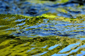 清流./水面のアップです.