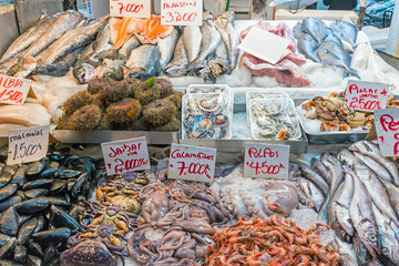 Fresh seafood and fish for sale at a market in Santiago de Chile