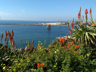 View of boat sailing in Newport Harbor, California, USA, through aloe vera plants.