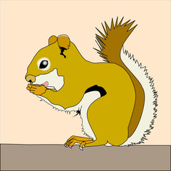 Squirrel