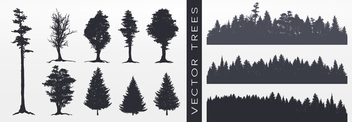 Forest silhouette, vector illustration.