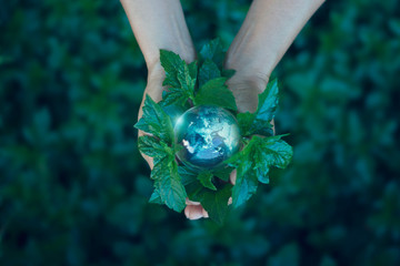 Earth day, Saving energy concept, Hand holding earth on green leaf against nature in green park....
