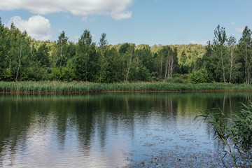 Fototapeta na wymiar Lake in the forest.