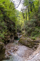 The river is fast-flowing in the woods.