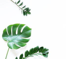 Green tropical leaves on white background. Flat lay, top view, copy space