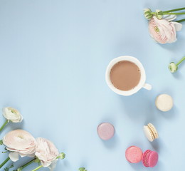 cup of cocoa, macaroons cookies colorful in pastel colors and delicate pink ranunculus flowers on a pale blue background. Top view. Flat lay. Copy space