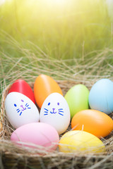 Fototapeta na wymiar Colorful Easter eggs in the basket on grass field