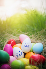 Colorful Easter eggs in the basket on grass field