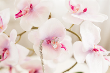 Women's wedding jewelry (earrings, bracelets) on a light background flowers, selective focus