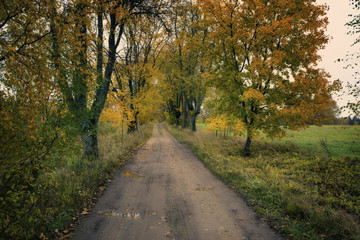 Country road in fall season. Latvia