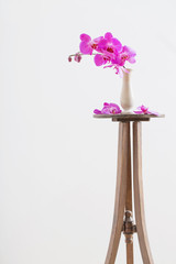 beautiful orchids in vase on old vase