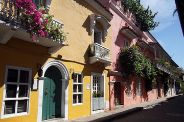 Yellow ochre colonial building with flowers