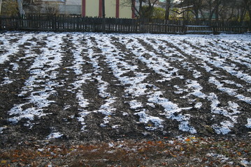 Первые заморозки