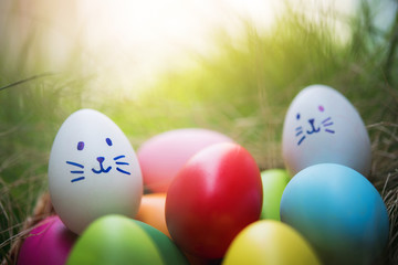 Fototapeta na wymiar Colorful Easter eggs in a basket on green grass field 
