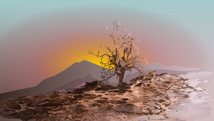 Landscape desert tree the concept of global warming vector illustration