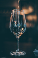 Taste Red Wine Glass - Close Up view