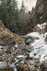 violent streams of a mountain river