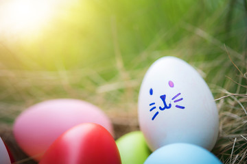 Colorful Easter eggs in a basket on green grass field 
