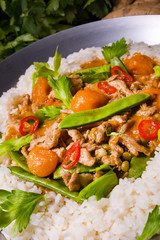 wok pan with meat strips and vegetables