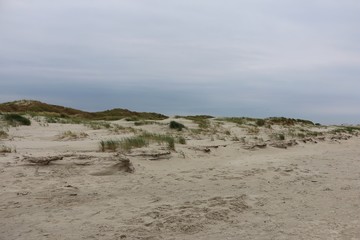 Fototapeta na wymiar beautiful dunes at the north sea in germany