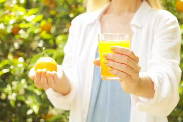 Attractive young woman standing between trees in farm plantation holding fruit & glass full of freshly squeezed orange juice. Female in sexy loose cotton shirt, fruitage branches. Close up, copy space
