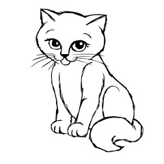 Cat Kitten hand drawn