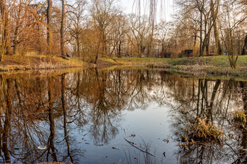 Pond in Jena with reflection in the water