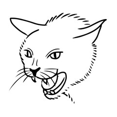 cat hand drawn
