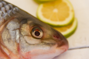 river fish with lemon and rosemary