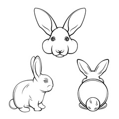 Bunny set. Rabbits, hares. Muzzle bunnies. Banny s back.  illustration.