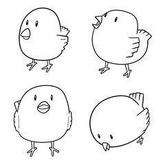 vector set of bird