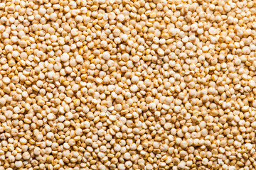 quinoa seed background