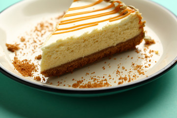 One piece of cheesecake closeup