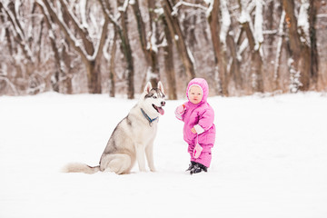 Fototapeta na wymiar Little baby with Husky dog