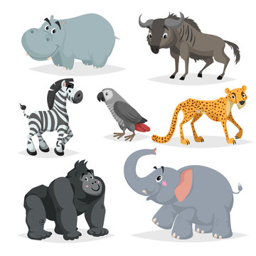 African animals cartoon set. Hippo, gorilla monkey, gray parrot, elephant, cheetah, zebra and wildebeest. Zoo wildlife collection. Vector illustrations isolated on white background.