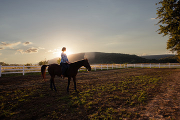 Evening walk on the horse