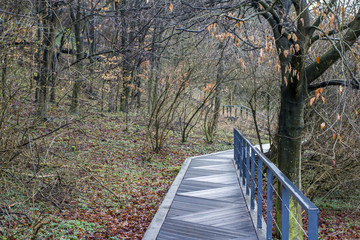Fototapeta premium Wood pathwalk in Somogyvar