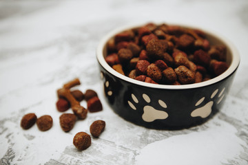 Dry pet food in bowl