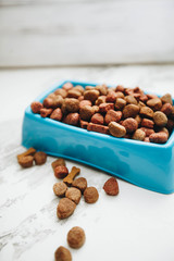 Dry pet food in bowl