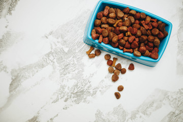 Dry pet food in bowl