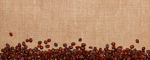 Panorama lined with coffee beans on the background of sack cloth