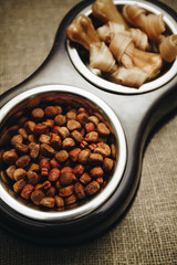 Dry pet food in bowl