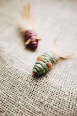 Dry pet food in bowl