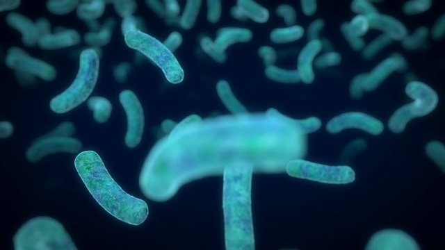 Bacteria Infection, Bacteria floating in fluid, Infection, Stylized Animation