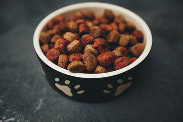 Dry pet food in bowl
