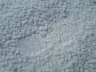 Foot print in the snow